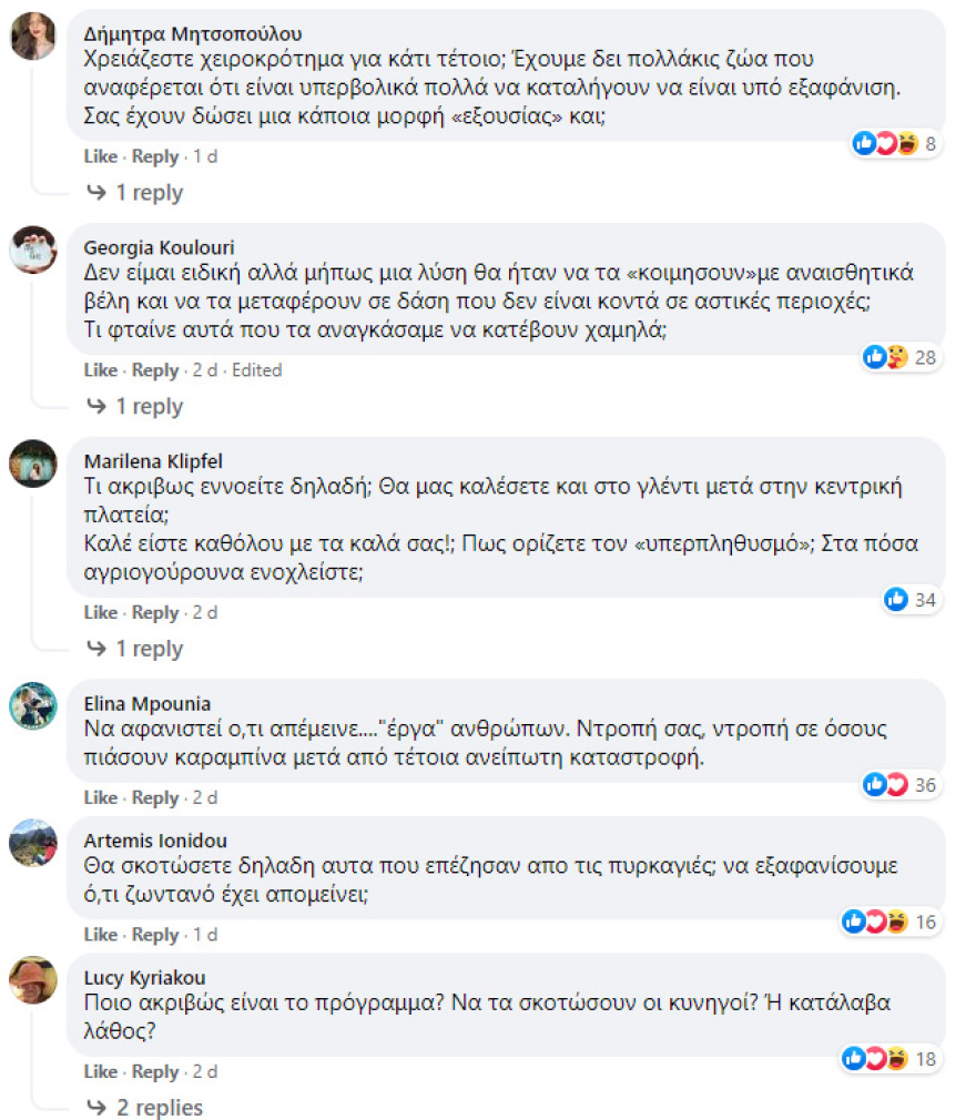 «Εκτελεστικό απόσπασμα» για... αγριογούρουνα στήνει το Δασαρχείο Πεντέλης στην Εκάλη