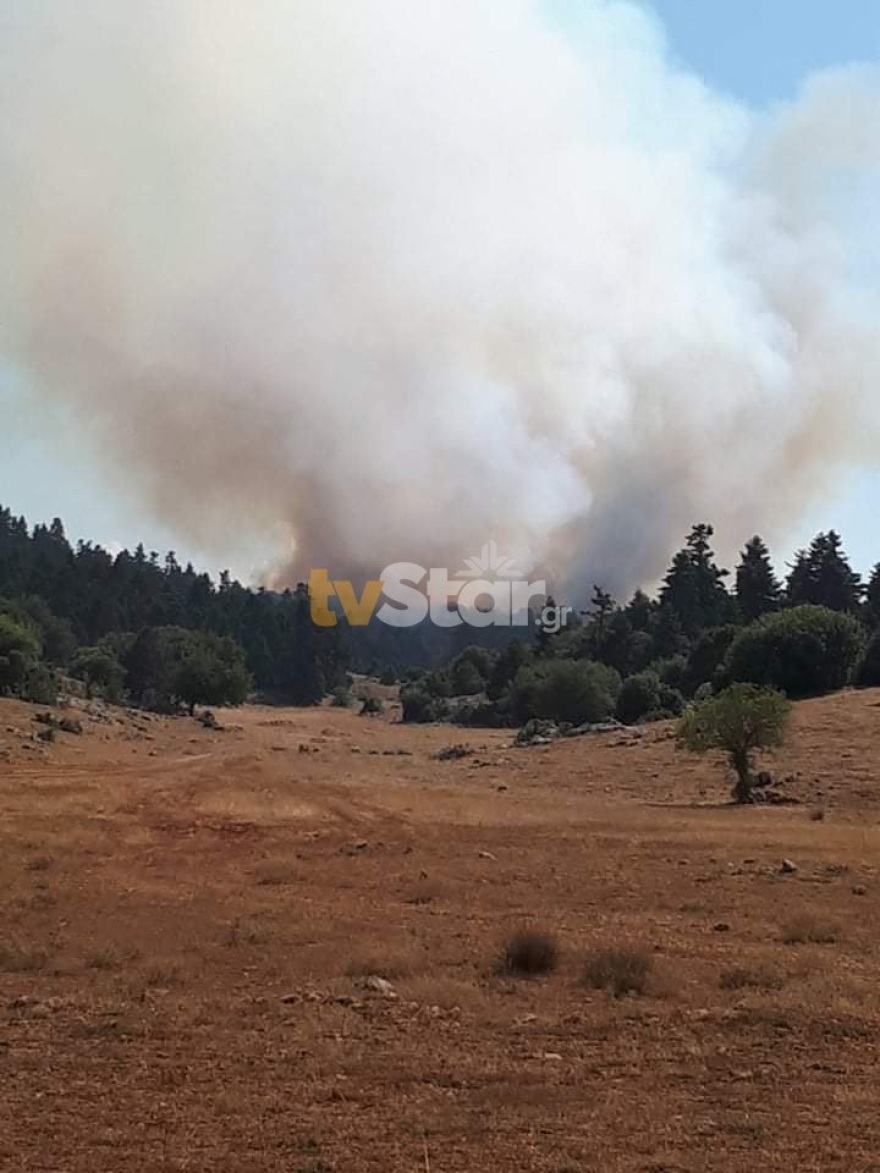 Φωτιά κοντά στους Δελφούς: Περιορίστηκε το μέτωπο ανάμεσα στο Κροκί και στο Λιβάδι της Αράχωβας
