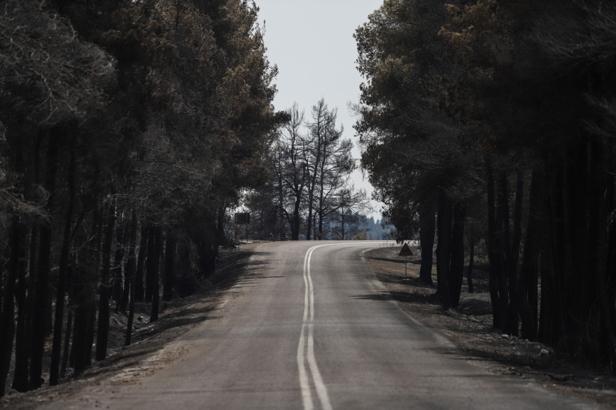 Meteo: Καμένο το ένα τρίτο των δασών της Εύβοιας από τις πυρκαγιές