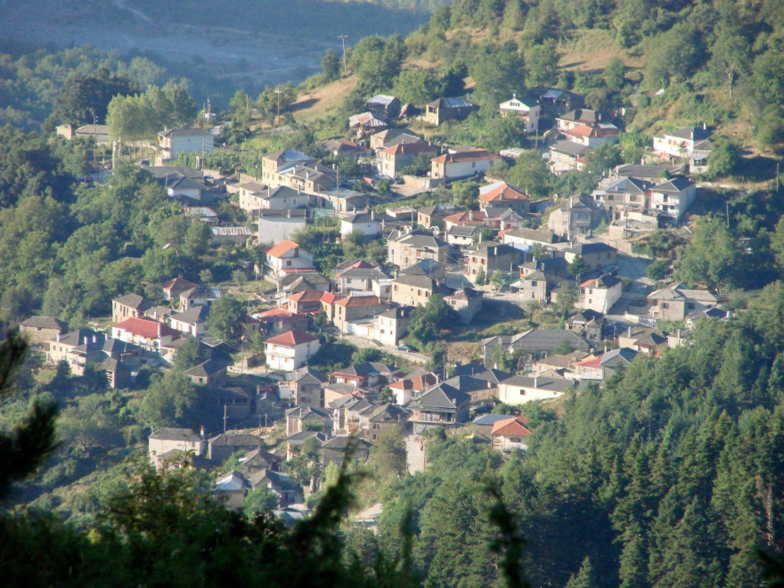 Aλβανοί λαθροκυνηγοί μπαίνουν στην Ελλάδα και σκοτώνουν σπάνια αγριόγιδα 