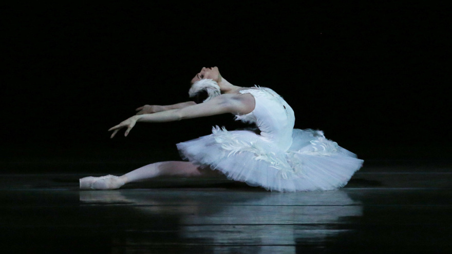 Gala μπαλέτου Bolshoi - Mariinsky