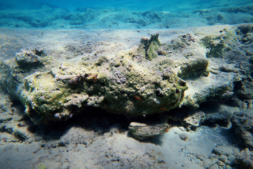 Εντυπωσιακά ευρήματα κατά την υποβρύχια έρευνα στον κόλπο Παλαικάστρου Σητείας