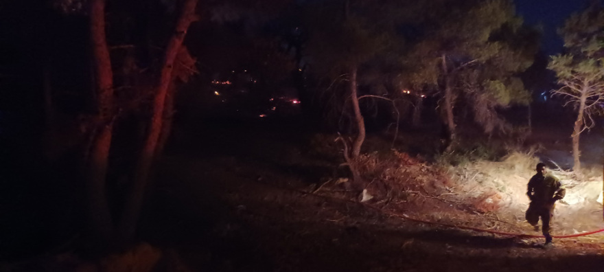 Φωτιά στη Νέα Μάκρη: Ολονύχτια μάχη με τις διάσπαρτες εστίες - Ζημιές σε σπίτια (βίντεο + φωτό)