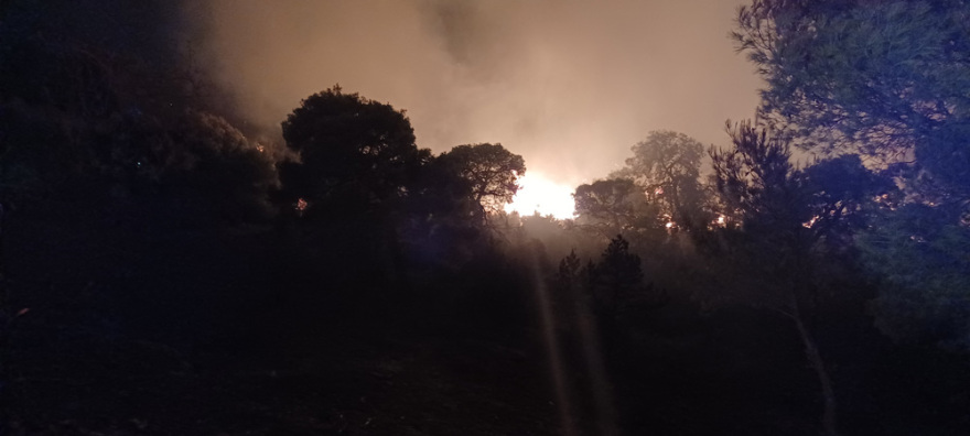 Φωτιά στη Νέα Μάκρη: Ολονύχτια μάχη με τις διάσπαρτες εστίες - Ζημιές σε σπίτια (βίντεο + φωτό)