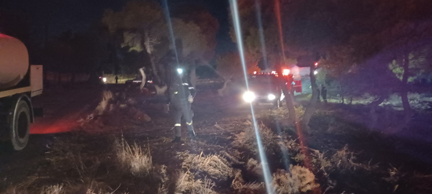 Φωτιά στη Νέα Μάκρη: Ολονύχτια μάχη με τις διάσπαρτες εστίες - Ζημιές σε σπίτια (βίντεο + φωτό)