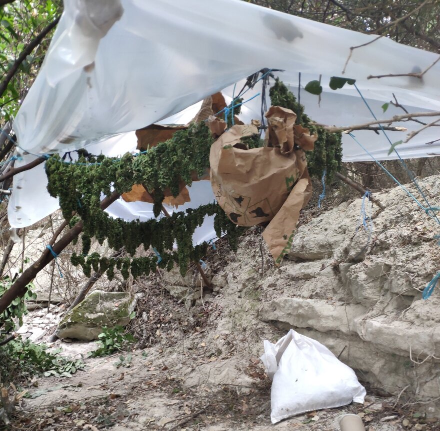 Κρήτη: Τριπλή φυτεία και πάνω από 8 κιλά κάνναβης στο Μυλοπόταμο