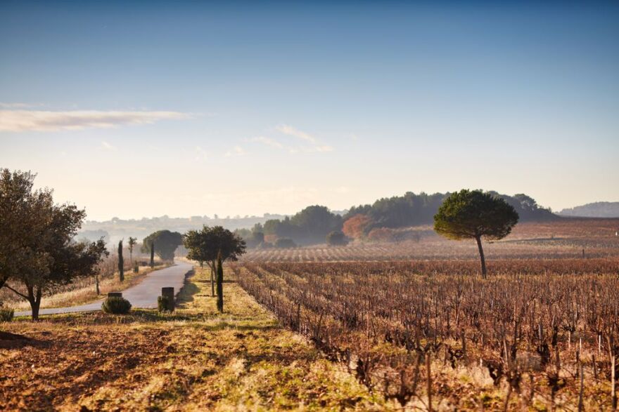 Το Chateau Miraval και το κρασί των Μπραντζελίνα - Τόμας Περίν: «Ο Μπραντ Πιτ λατρεύει το κτήμα»