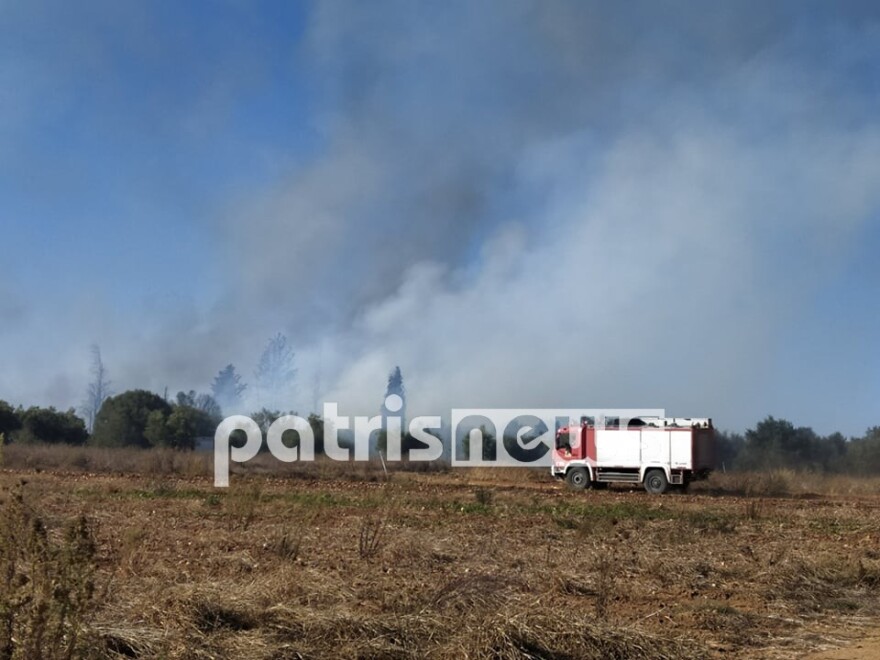 Φωτιά στα Δουνέικα Ηλείας - Δείτε φωτογραφίες