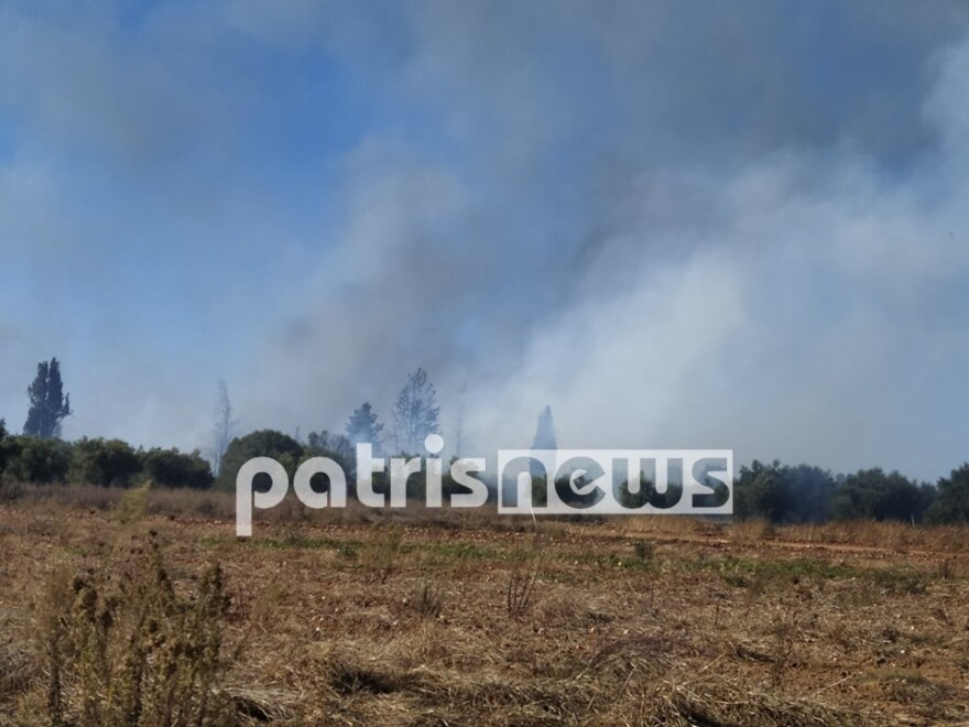 Φωτιά στα Δουνέικα Ηλείας - Δείτε φωτογραφίες