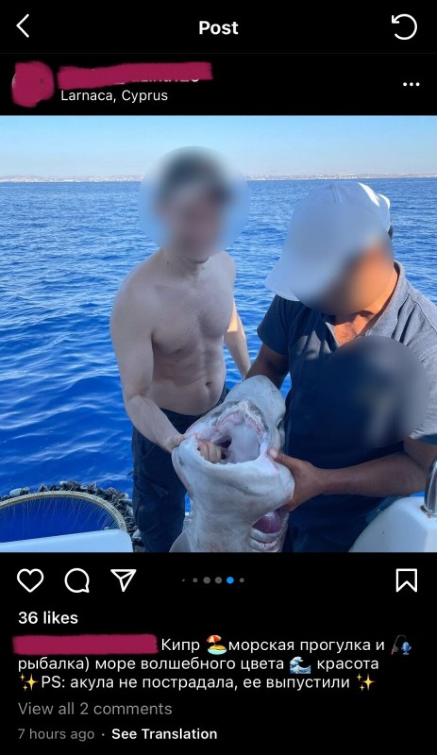 Σάλος με κακοποίηση καρχαρία στην Κύπρο: Τον έπιασαν από τα βράγχια, τον μάτωσαν και έβγαλαν selfies