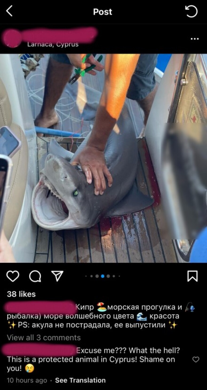 Σάλος με κακοποίηση καρχαρία στην Κύπρο: Τον έπιασαν από τα βράγχια, τον μάτωσαν και έβγαλαν selfies