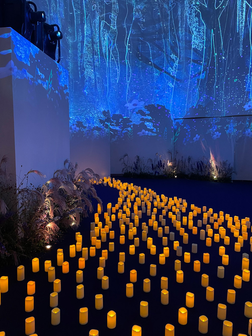 Γάμος Ζέιν στο Μονακό: Δεξίωση «χίλιες και μια νύχτες» με δεκάλεπτα πυροτεχνήματα - Εικόνες και βίντεο