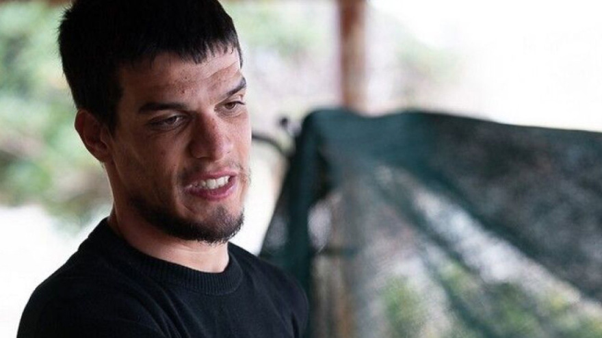 Μαθήματα δημοκρατίας από τις «Άγριες Μέλισσες», μαθήματα τηλεόρασης από τη μυθοπλασία