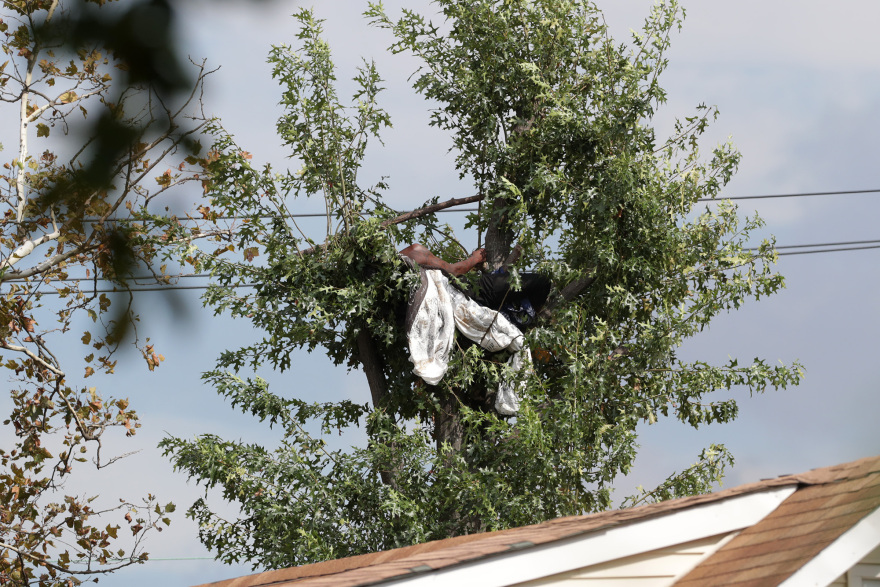 ΗΠΑ: Ένας 44χρονος έμεινε σκαρφαλωμένος πάνω σε δέντρο για 48ώρες για να αποφύγει τη σύλληψη - Δείτε φωτογραφίες και βίντεο