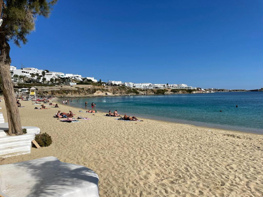 Γέμισε τσούχτρες η Ψαρού στη Μύκονο και όλες οι Κυκλάδες - Δείτε φωτογραφίες