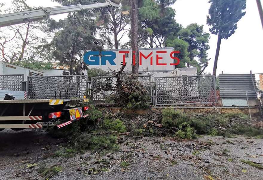 Κακοκαιρία «Αθηνά» - Θεσσαλονίκη: Πτώσεις δέντρων και προβλήματα στην ηλεκτροδότηση