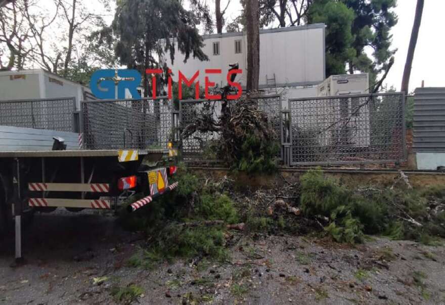 Κακοκαιρία «Αθηνά» - Θεσσαλονίκη: Πτώσεις δέντρων και προβλήματα στην ηλεκτροδότηση