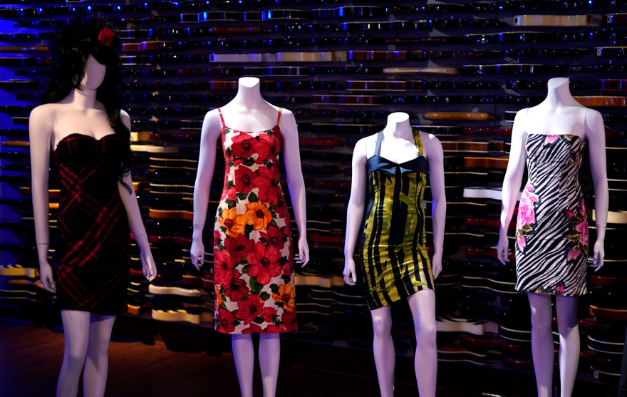 Έιμι Γουάινχαουζ: Τα προσωπικά της αντικείμενα θα διατεθούν σε δημοπρασία έναντι δύο εκατ. δολαρίων