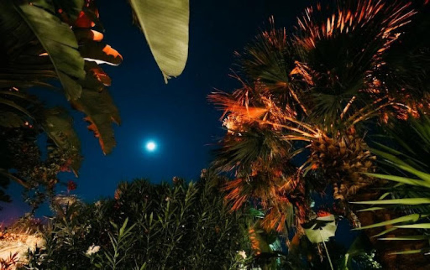 Bolivar Winter By The Beach