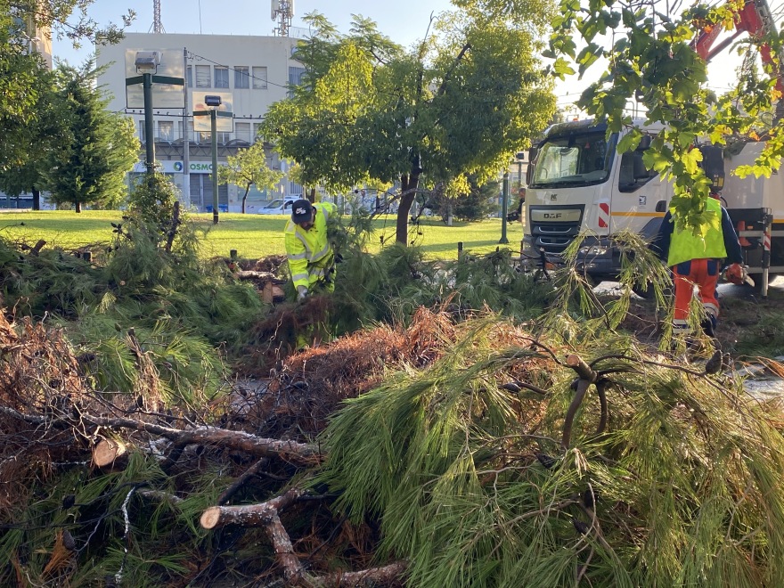 Κακοκαιρία «Μπάλλος»: Πτώση δέντρου στο Περιστέρι