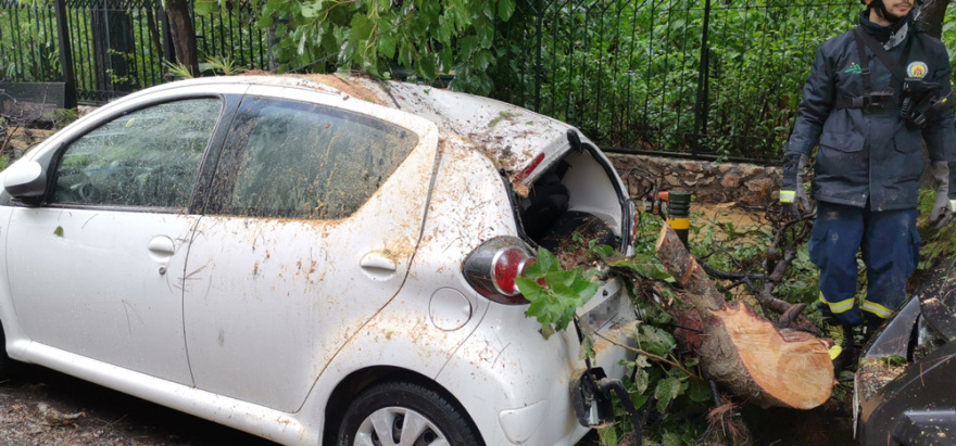 Κακοκαιρία «Μπάλλος»: Έπεσε δέντρο στη Σπύρου Μερκούρη - Ζημιές στα αυτοκίνητα και κυκλοφοριακό κομφούζιο