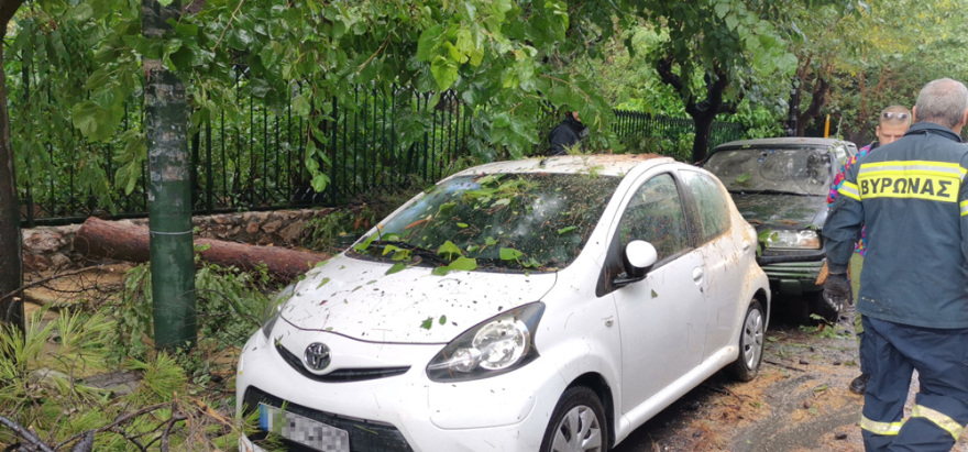 Κακοκαιρία «Μπάλλος»: Έπεσε δέντρο στη Σπύρου Μερκούρη - Ζημιές στα αυτοκίνητα και κυκλοφοριακό κομφούζιο