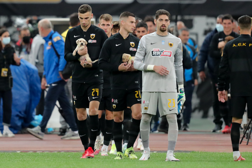 ΑΕΚ: Με αδέσποτα κουτάβια στην αγκαλιά τους οι παίκτες στο ΟΑΚΑ