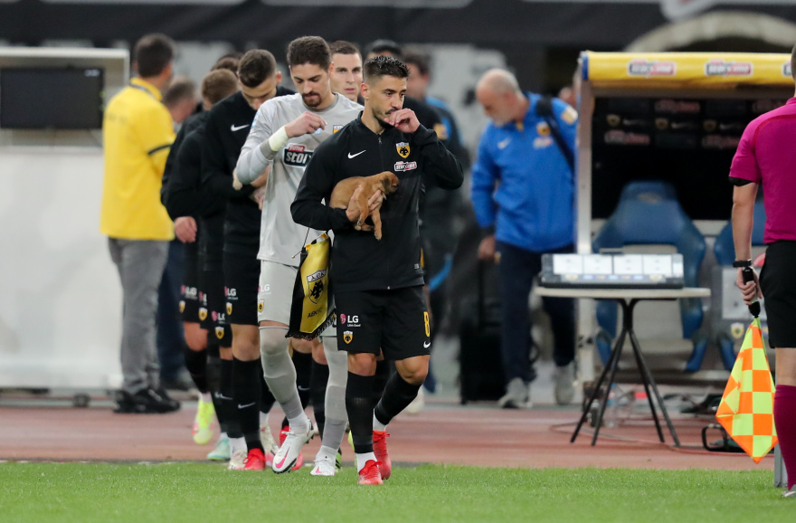 ΑΕΚ: Με αδέσποτα κουτάβια στην αγκαλιά τους οι παίκτες στο ΟΑΚΑ