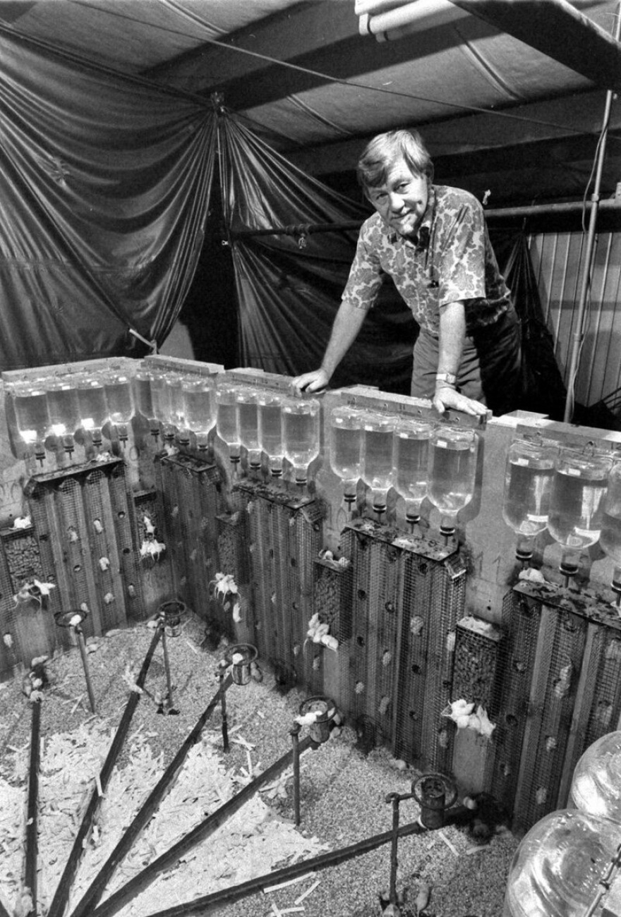 Υπογεννητικότητα, αντικοινωνική συμπεριφορά και υπερπληθυσμός: Ποια η σχέση τους;