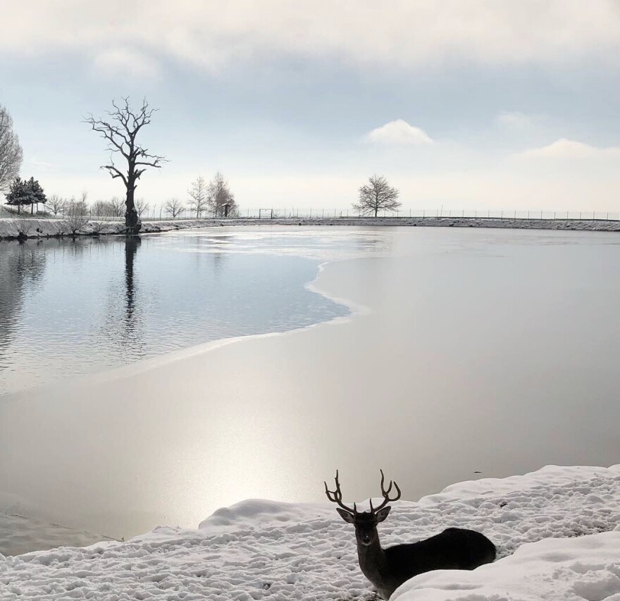 Συγχωριανοί και συνέταιροι: Οι 250 κάτοικοι χωριού στην Πέλλα που είναι μέτοχοι στην ίδια επιχείρηση