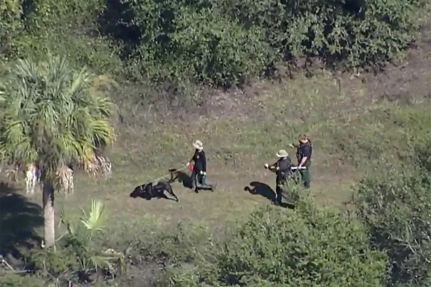 Γκάμπι Πετίτο: Θρίλερ με τα οστά του αρραβωνιαστικού - Το σημειωματάριο, οι αλιγάτορες και οι υποψίες για αυτοκτονία