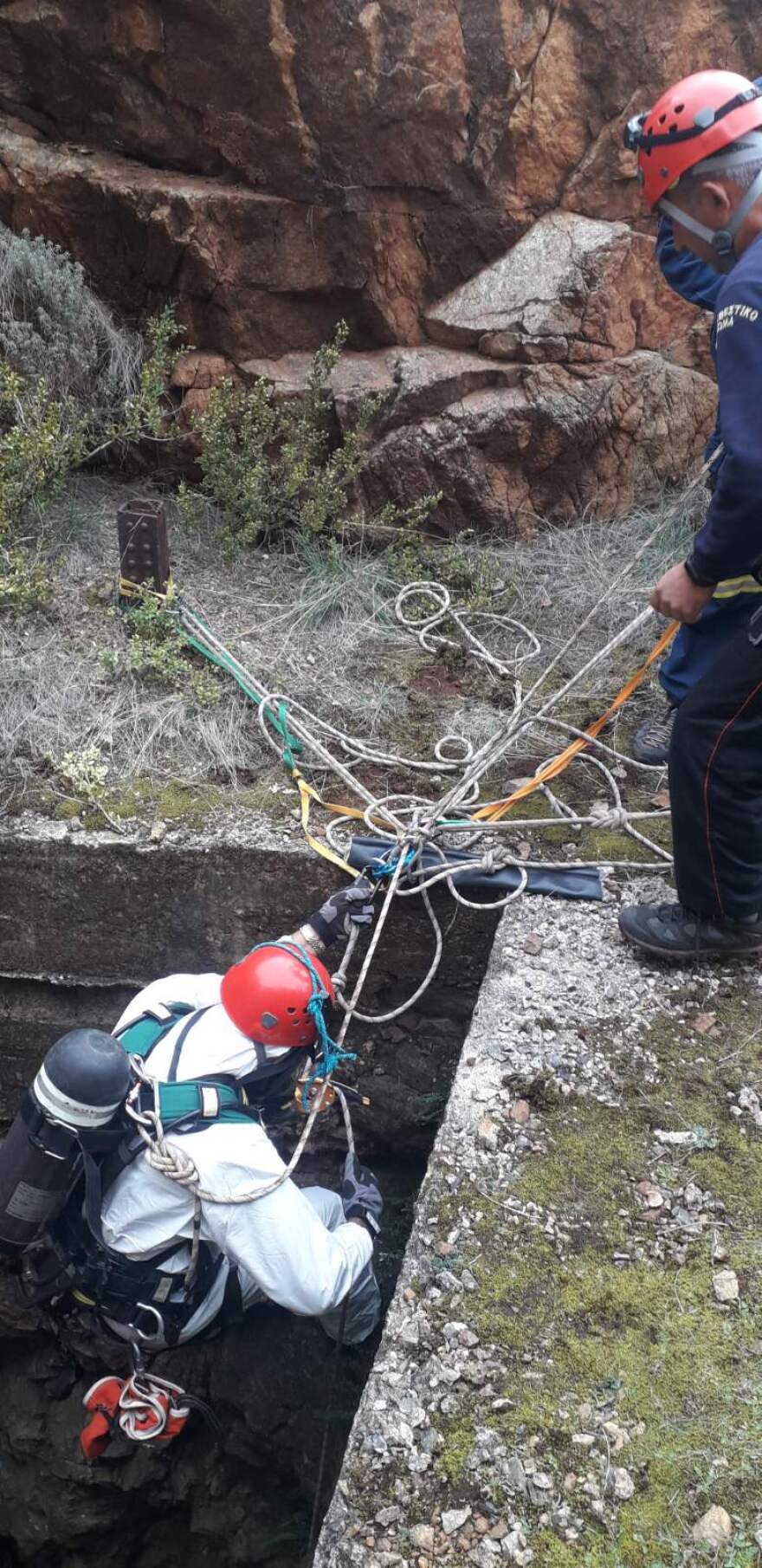 Σκύλος έπεσε σε πηγάδι 20 μέτρων στην Κοζάνη - Σώθηκε από την ΕΜΑΚ 