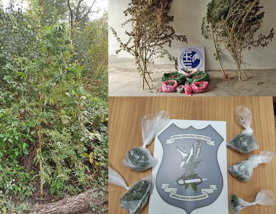 Είχε τρία κιλά κάνναβης και φυτεία σε αρδευτικό κανάλι