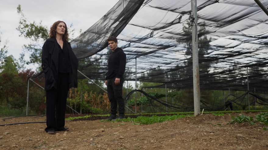 Συνταρακτικά γεγονότα έρχονται στη «Γη της Ελιάς»