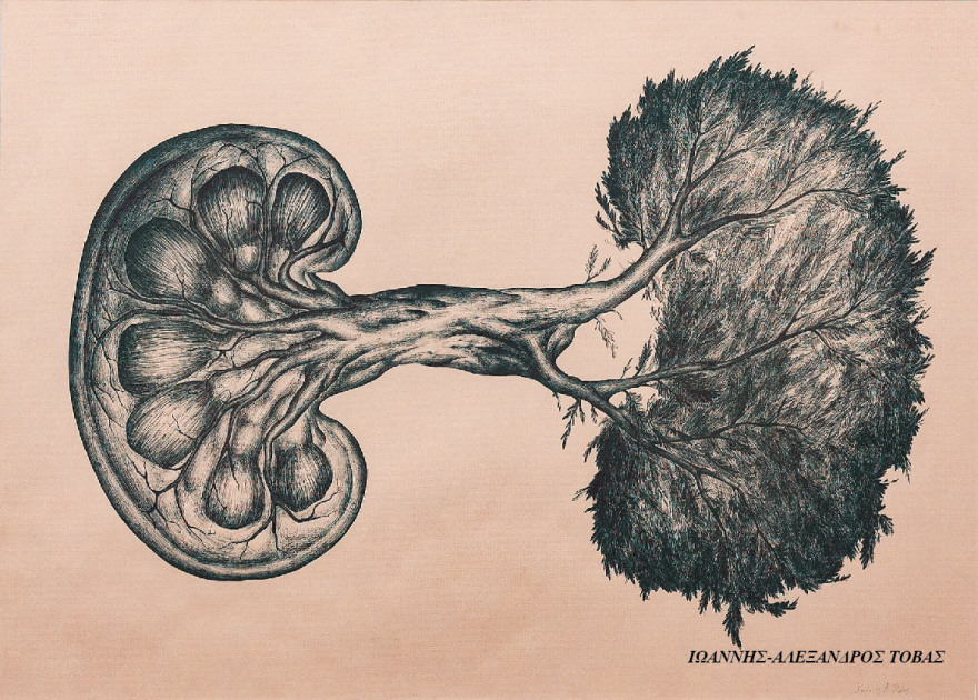 Η Χρόνια Νεφρική Νόσος μέσα από τα μάτια νέων καλλιτεχνών