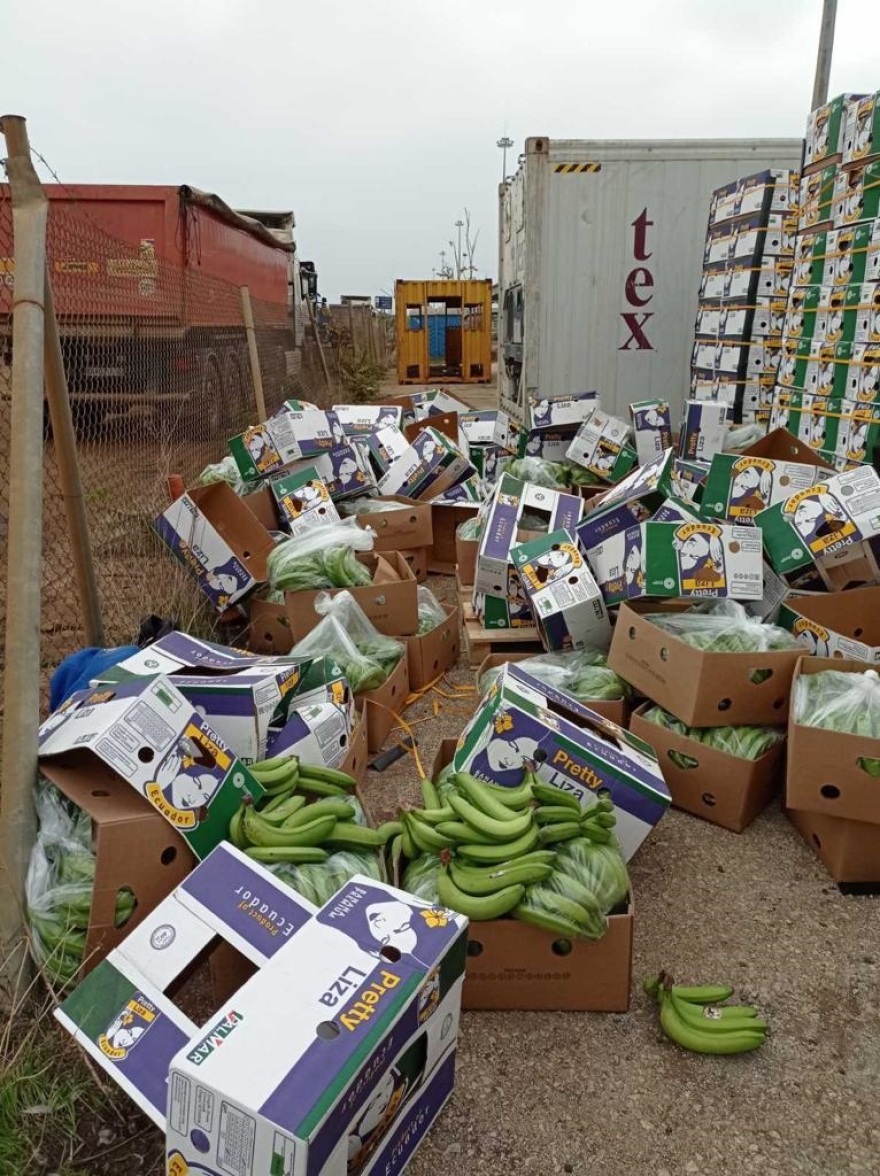 82 κιλά κοκαΐνης σε container με... μπανάνες από τον Ισημερινό εντοπίστηκαν στη Θεσσαλονίκη