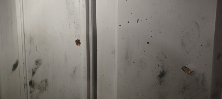 Χαλάνδρι: Τι ισχυρίζεται στην αστυνομία η γυναίκα που πυροβόλησε τον γιατρό