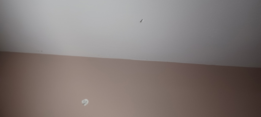 Χαλάνδρι: Τι ισχυρίζεται στην αστυνομία η γυναίκα που πυροβόλησε τον γιατρό