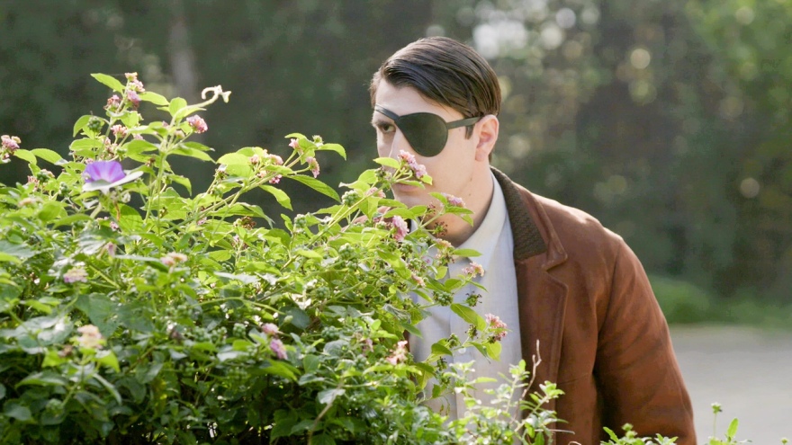 Μια μεγάλη έκπληξη περιμένει τον Νικηφόρο στις «Άγριες Μέλισσες»