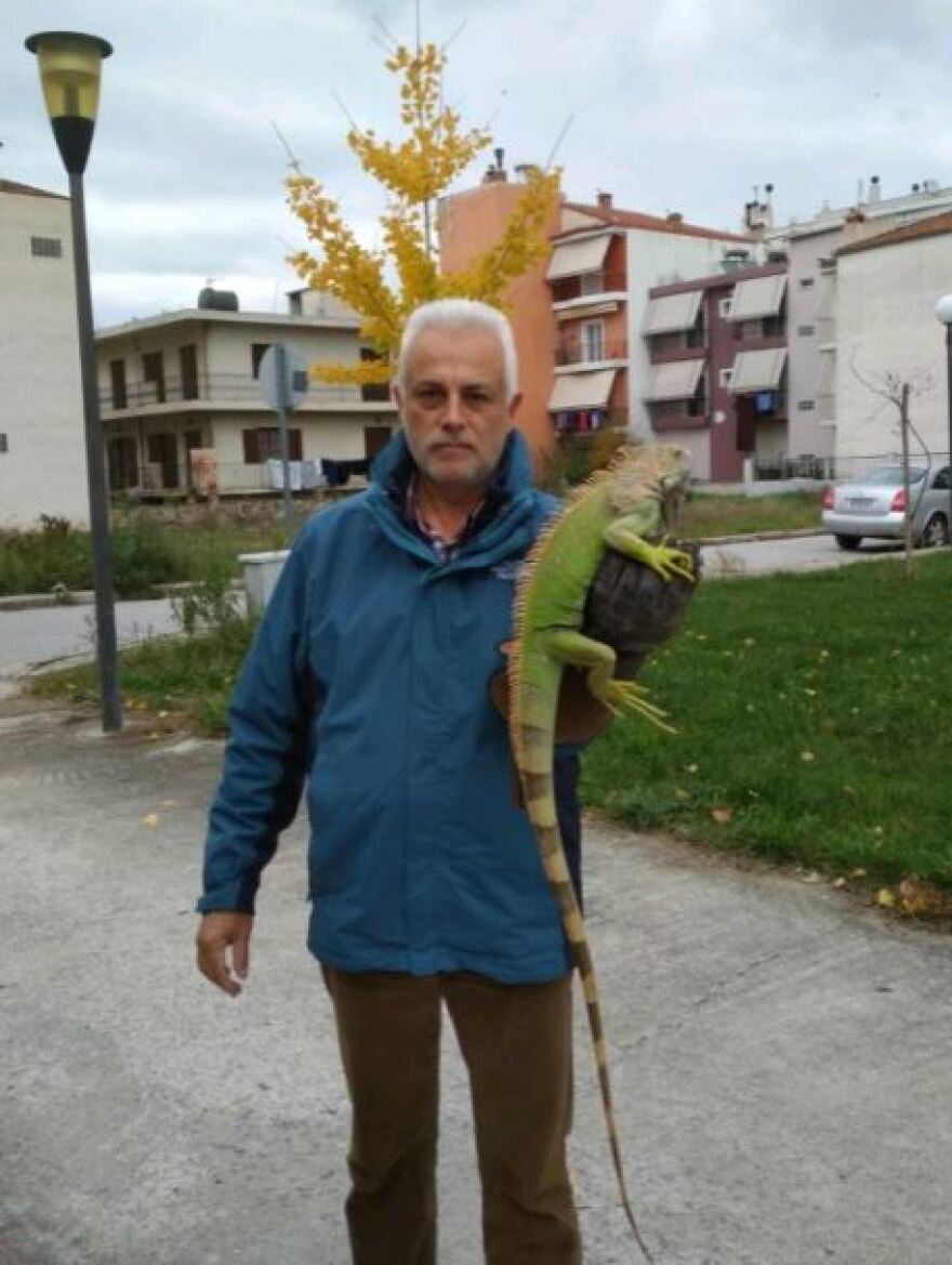 Μεγάλο ιγκουάνα βρέθηκε δίπλα σε κάδο απορριμμάτων στη Λάρισα