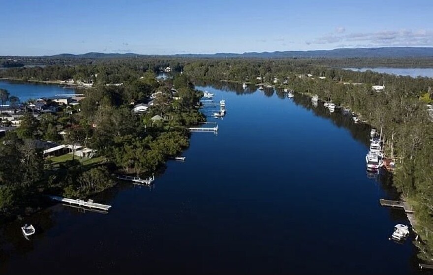 Χένρι Λέιτον Τζόουνς: Ο γιατρός που έψαχνε το ελιξήριο της νεότητας στα γεννητικά όργανα πιθήκων 