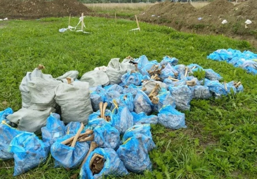 Φρίκη  στη Ρωσία: Βρέθηκε ομαδικός τάφος των Ναζί με σκελετούς 675 παιδιών έξω από την Αγία Πετρούπολη