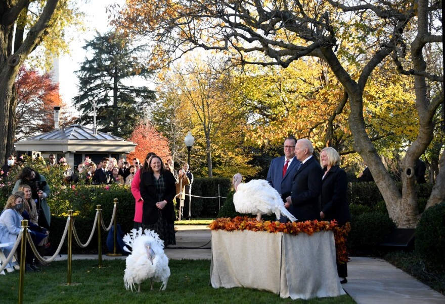 ΗΠΑ: Ο Μπάιντεν έδωσε χάρη στον «Φυστικοβούτυρο» και τον «Ζελέ» ενόψει της Ημέρας των Ευχαριστιών – Δείτε βίντεο