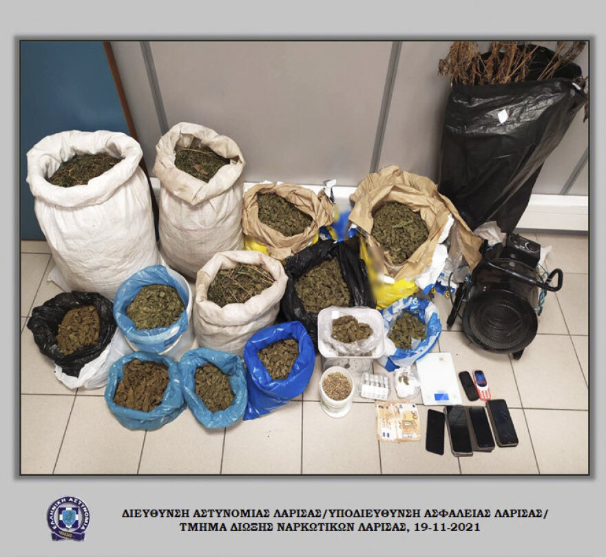 Λάρισα: Πόζαραν πλάι σε... χασισοφυτεία και ξετρύπωσαν «επιχείρηση» παραγωγής κάνναβης