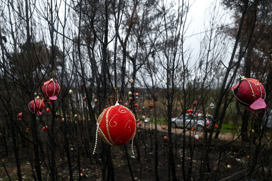 Φωτιά στη Βαρυμπόμπη: Τα καμένα δέντρα στόλισαν οι κάτοικοι της περιοχής - Δείτε φωτογραφίες