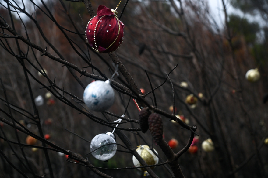 Φωτιά στη Βαρυμπόμπη: Τα καμένα δέντρα στόλισαν οι κάτοικοι της περιοχής - Δείτε φωτογραφίες