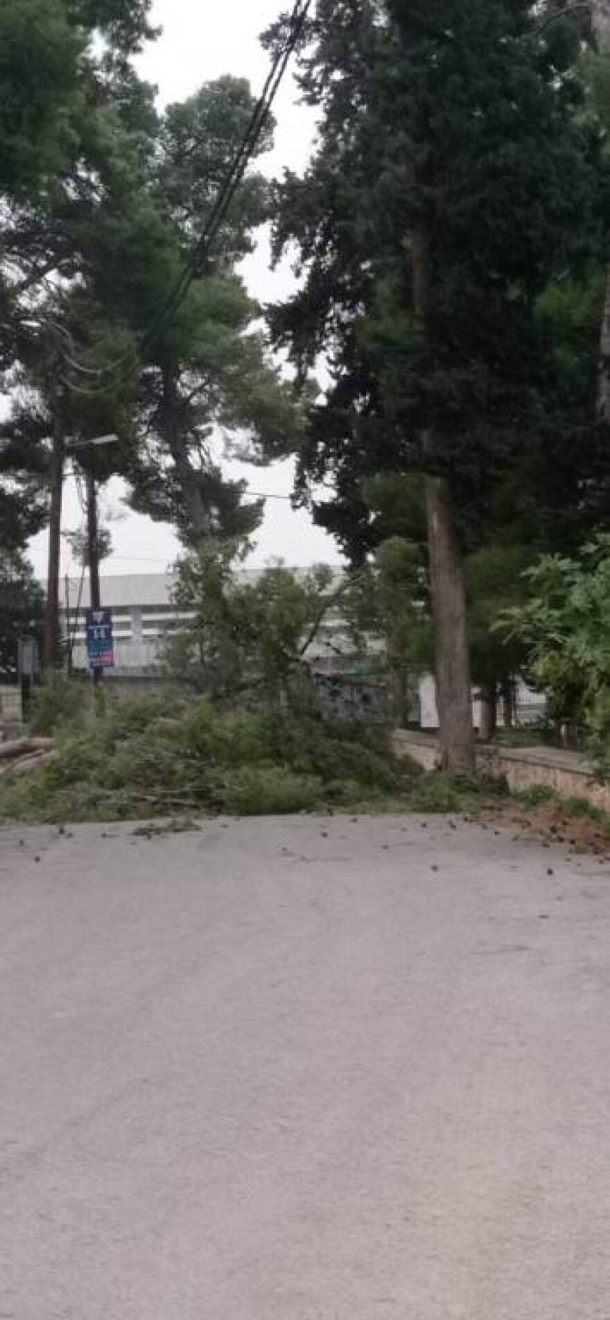 Η αφρικανική σκόνη «έπνιξε» την Κρήτη - Δείτε φωτογραφίες