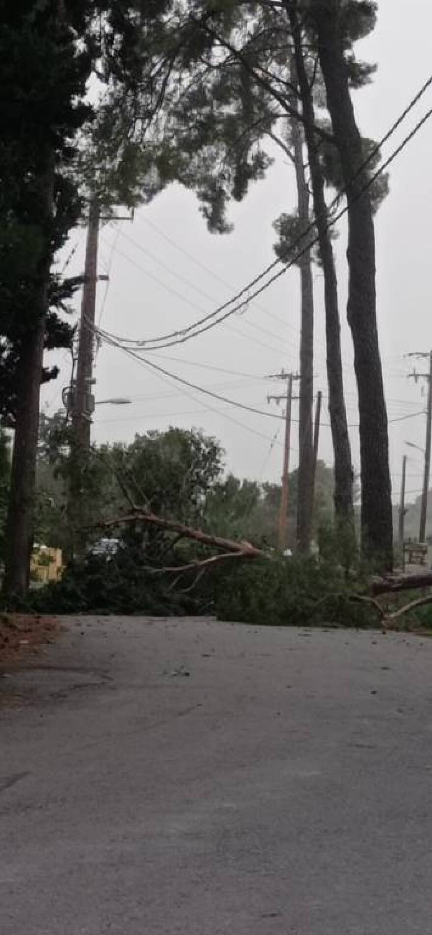 Η αφρικανική σκόνη «έπνιξε» την Κρήτη - Δείτε φωτογραφίες
