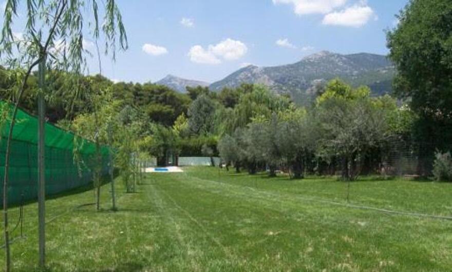 Ποιό είναι το κατάλληλο ξενοδοχείο για τον σκύλο μου;