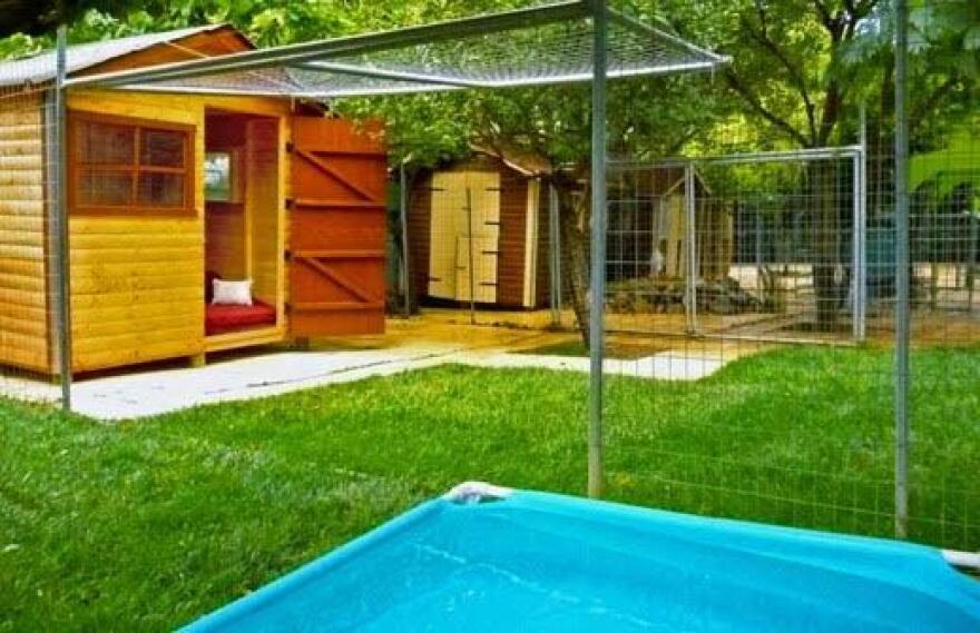 Ποιό είναι το κατάλληλο ξενοδοχείο για τον σκύλο μου;